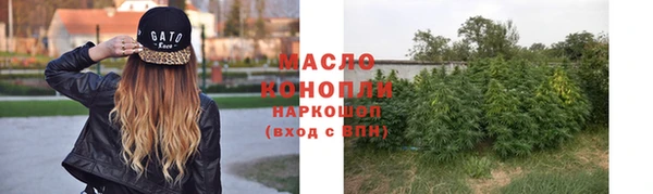 сатива Богданович