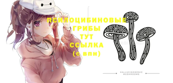 прущая мука Белоозёрский