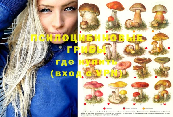 ECSTASY Белая Холуница