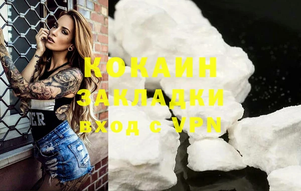 шишки Белокуриха
