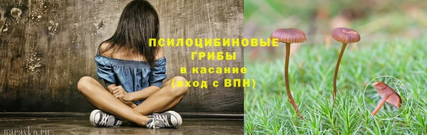 MDMA Богородицк