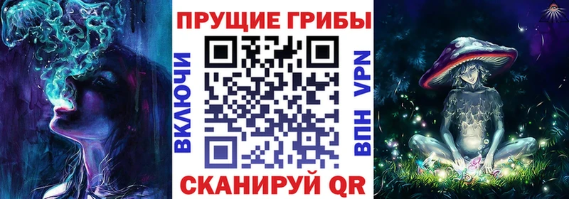 Псилоцибиновые грибы Psilocybine cubensis  ссылка на мегу как войти  Городовиковск 