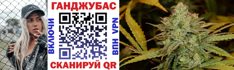Конопля сатива  хочу   Городовиковск 